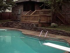Our Back Yard